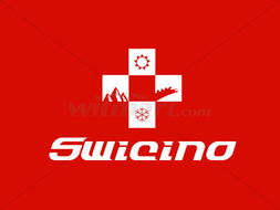 瑞士投资咨询公司品牌形象设计 CI系统在金融行业中的战略价值